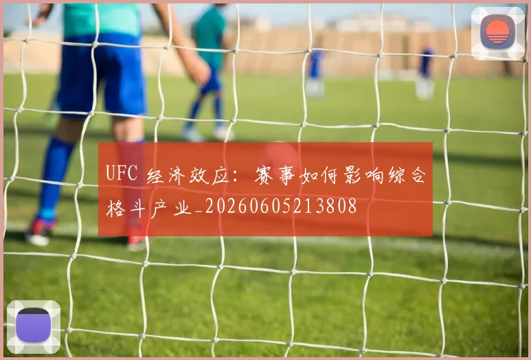 UFC 经济效应：赛事如何影响综合格斗产业_20260605213808