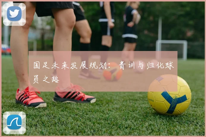 国足未来发展规划：青训与归化球员之路